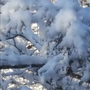 Meet your Posher, Sandy